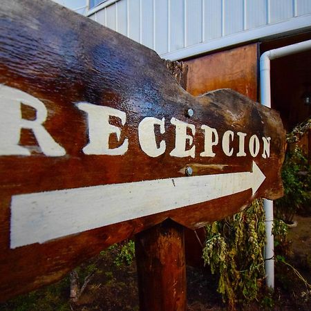 Hostal Parediso Punta Arenas Exterior photo